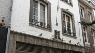 WikiMedia