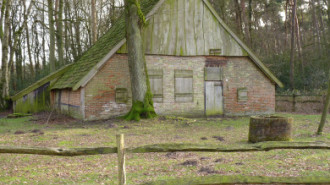 WikiMedia
