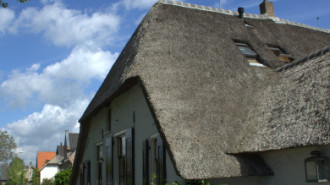 WikiMedia