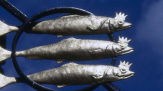 Rijksdienst voor het Cultureel Erfgoed: Wal, A.J. van der