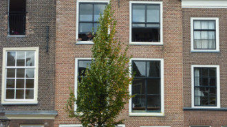 WikiMedia