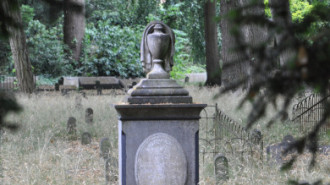 WikiMedia