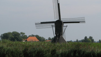 WikiMedia