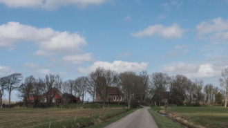 WikiMedia