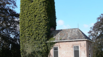 WikiMedia