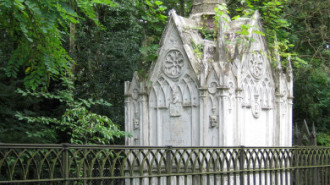 WikiMedia