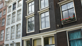 WikiMedia