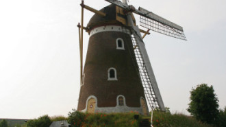 WikiMedia