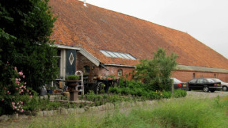 WikiMedia