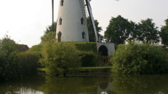 WikiMedia