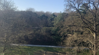 Rijksdienst voor het Cultureel Erfgoed: Bogers, Guido