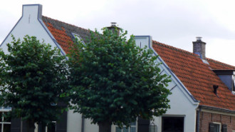 WikiMedia