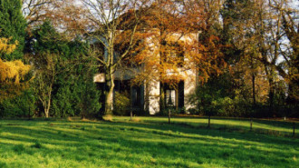 WikiMedia