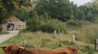 Natuurboerderij De Groene Knoop, midden in park Overstegen