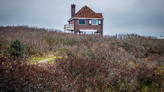 't Haventje, Domburg.