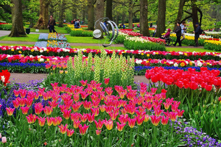 Keukenhof