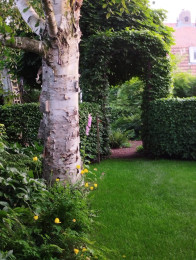 Plaatje van een tuin