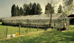 De oude tomatenkas
